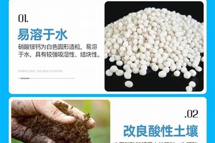 枸杞的生产在哪里