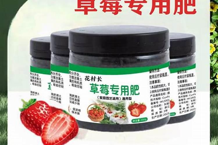 白芷种植如何进行田间管理？