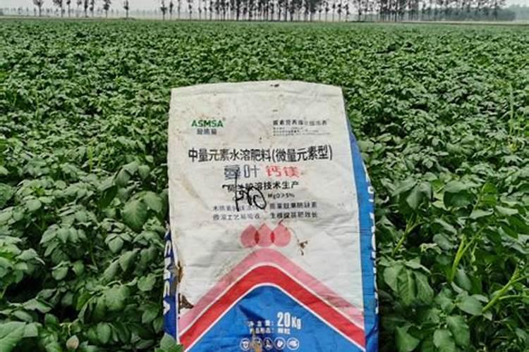 种植冬小麦底肥用什么复合肥好？