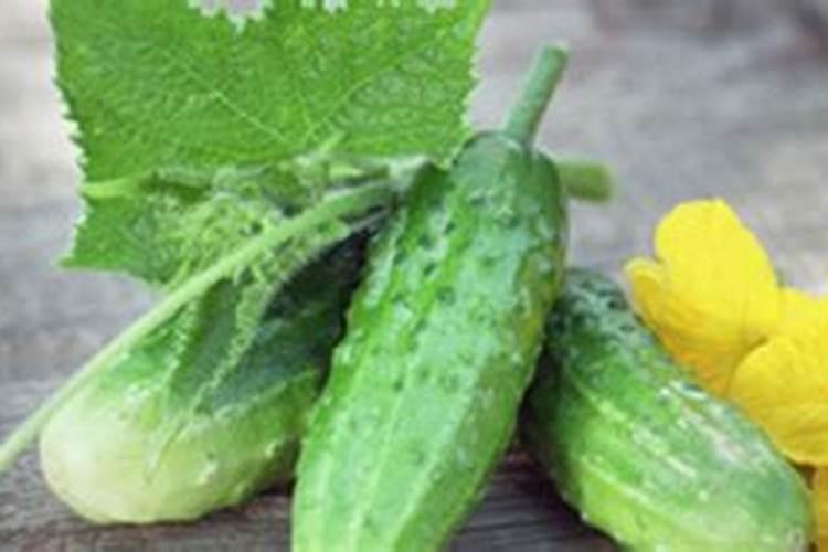 番茄中含有哪些维生素？