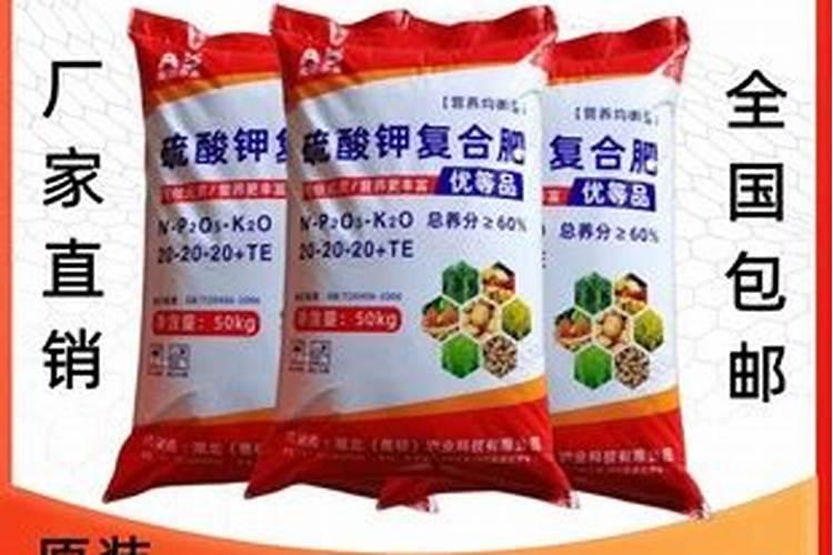 种玉米施肥用什么肥料好