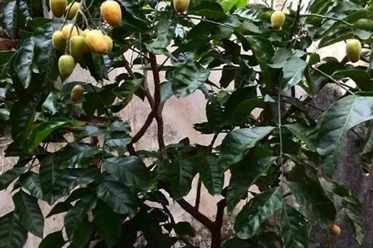 钾盐卤水湖罗布泊是真的吗