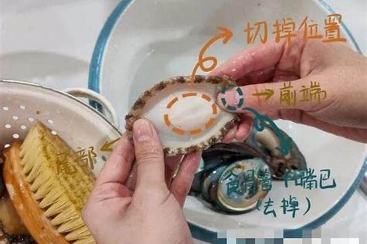 鱼缸蛋白虫怎么清除