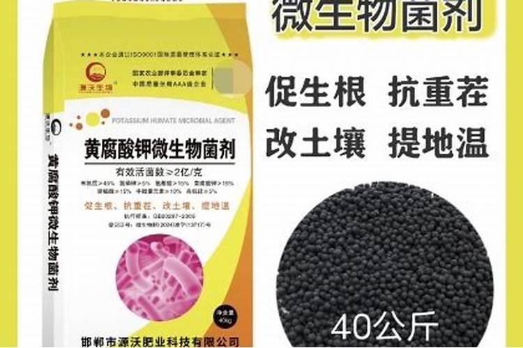 硝酸磷肥价格多少