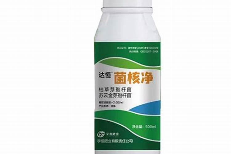 沙糖桔第三年修剪技术