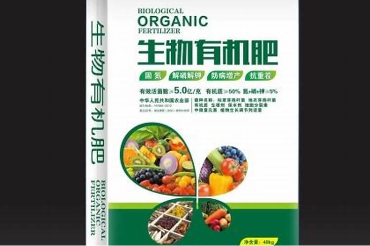 茶梅树如何养殖