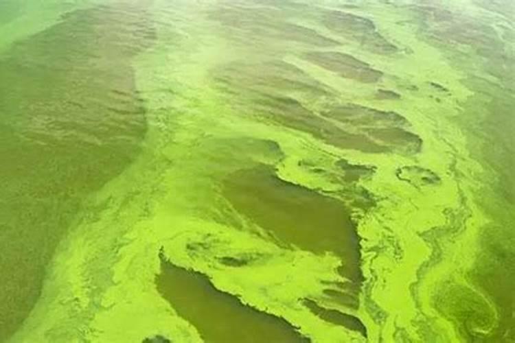 柑橘几月份施钾肥好 最佳使用时间