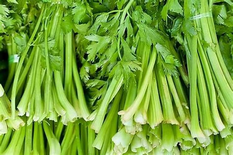 韭菜最怕三种肥料