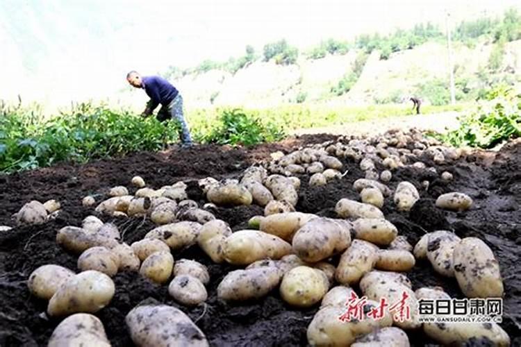 邹平祥宇化工有限公司怎么样？
