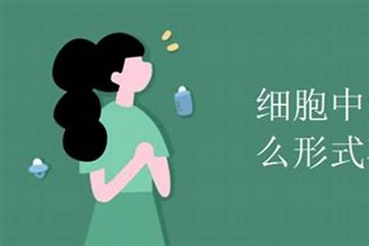 哪种牧草产量营养价值最高？