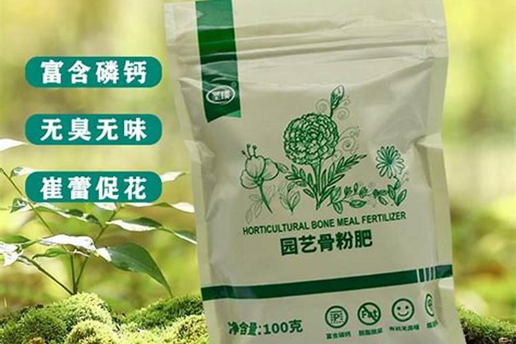 家里的碎骨头粉末可以直接放在花盆里,当作花肥吗？