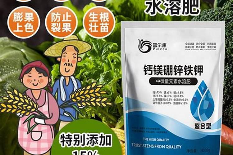 辣椒用钙镁硼锌铁肥好吗