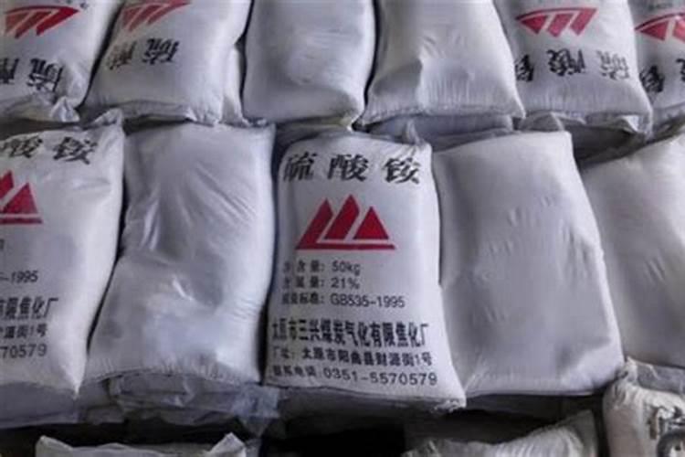 肉肉怎么种植教程