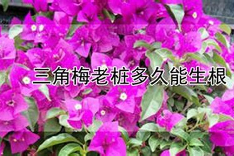 田家四季歌课文二年级上册内容如下:
