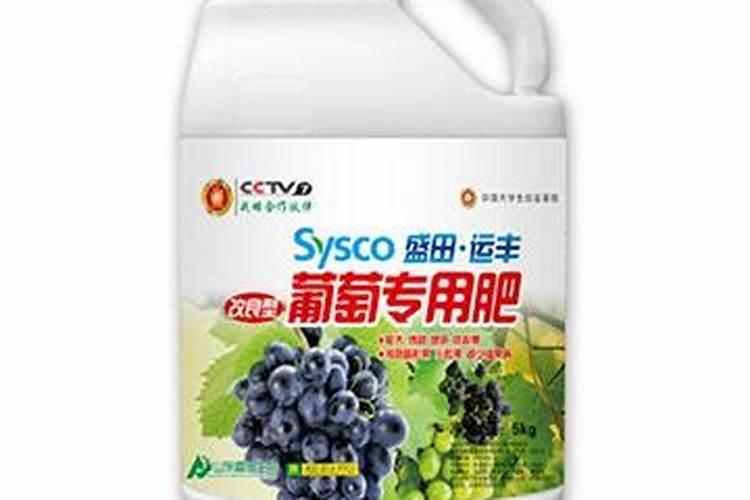 葡萄苗栽后高效管理方法