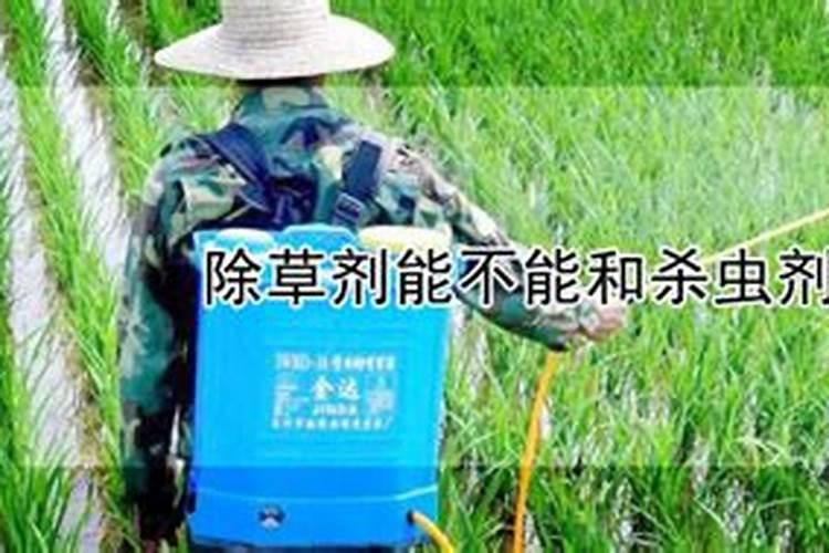 叶面肥和除草剂一起用会产生什么效果