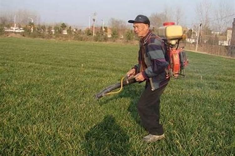 小麦除草剂能和叶面肥混合打吗 什么时候打合适