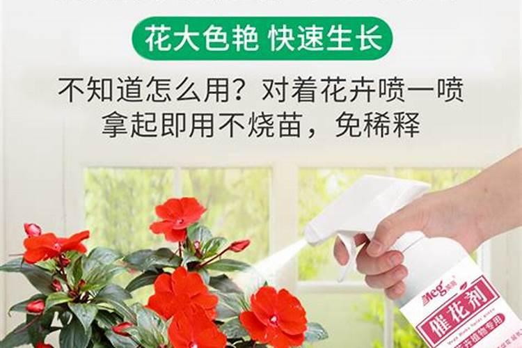 ...上色增甜膨大用什么肥料好,叶面肥促花保果怎么样？