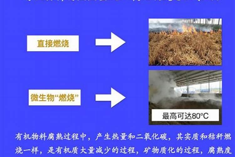 含钾肥高的有机肥有哪些