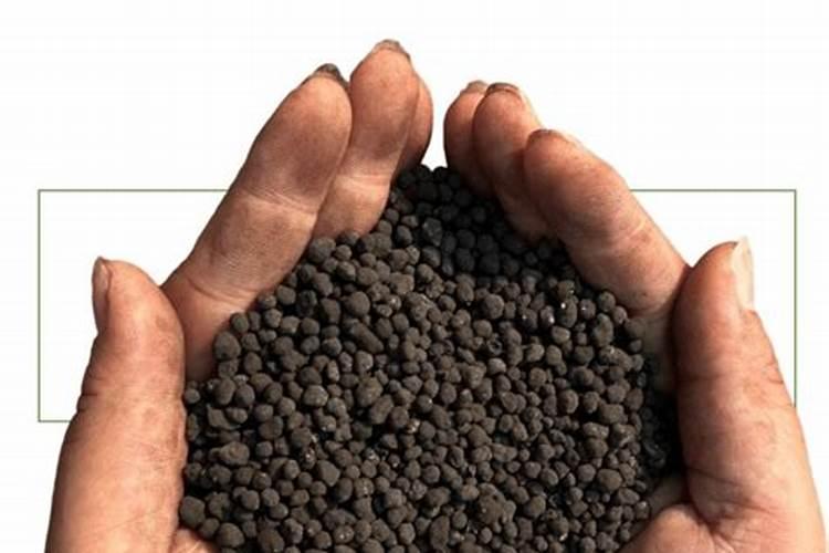 最好的有机肥是啥？有啥品牌有机肥吗？