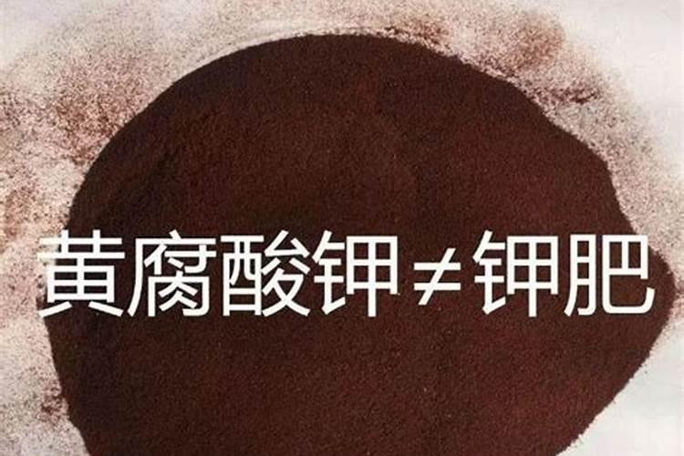 黄腐酸钾 甲壳素 海藻酸哪个好？
