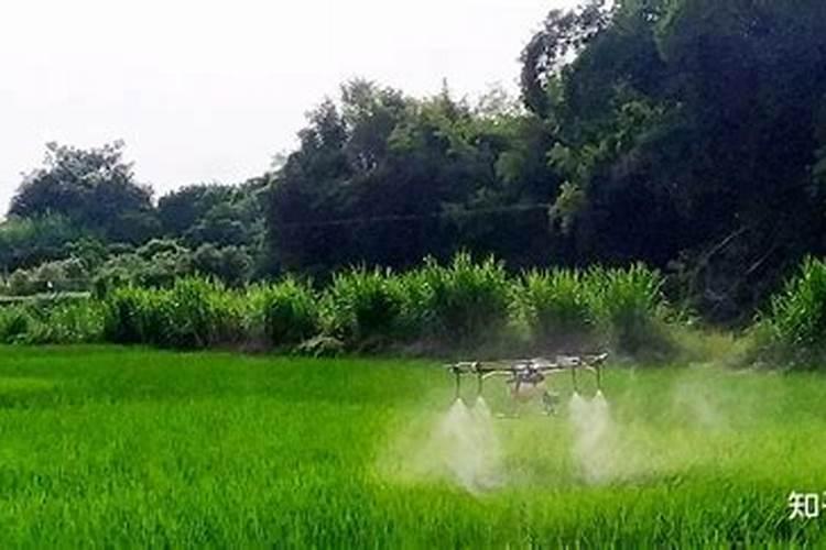 西红柿追肥用什么肥料