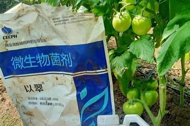 叶面肥过量怎么补救百科