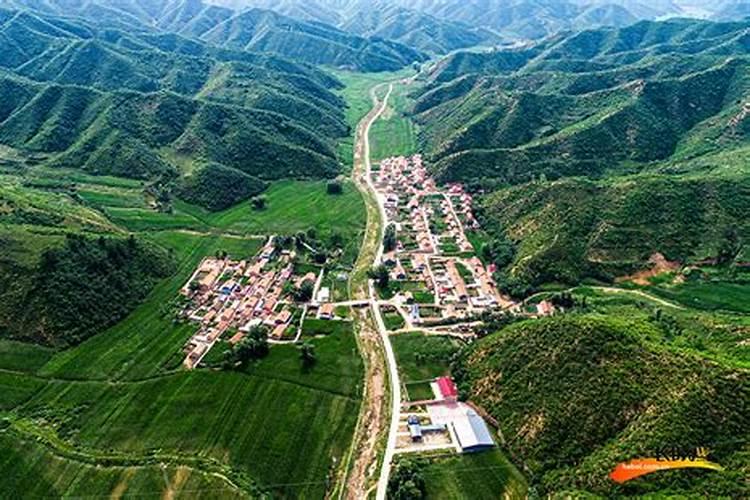 叶面肥过量怎么补救百科