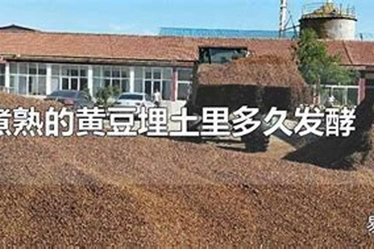 鸡粪可以放土里发酵吗