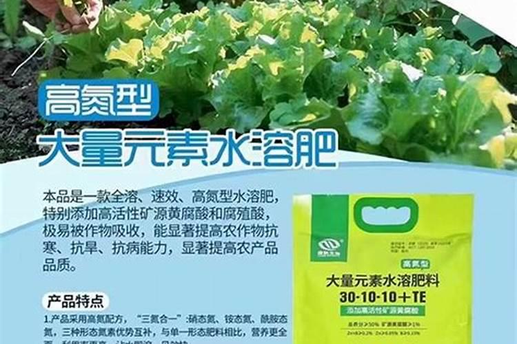 牡丹在南方怎么种植