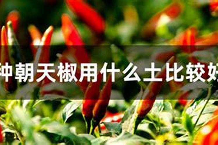 有机肥什么品牌好