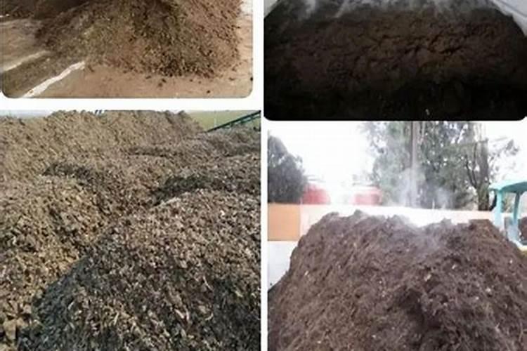 什么样的叶面肥补硼补钙效果好,能解决硼钙拮抗问题？