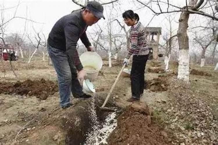复合肥氮磷钾的作用分别是什么