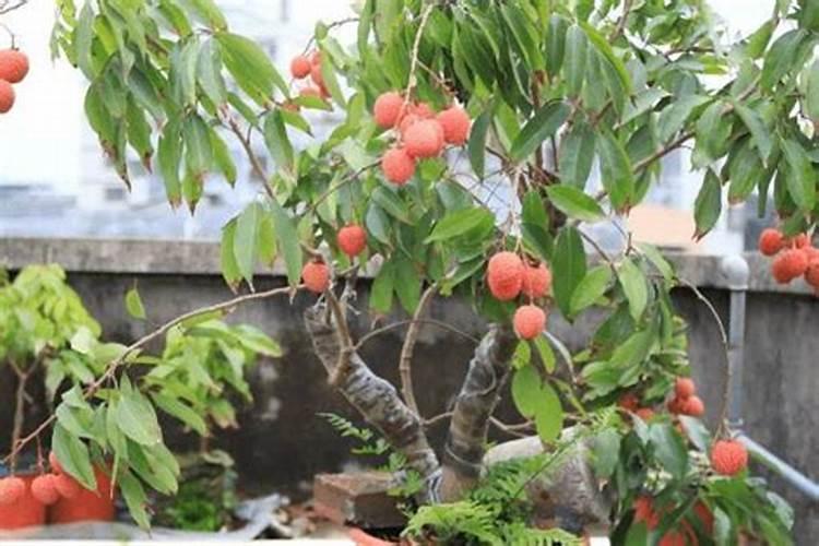 复合肥中的氮、磷、钾各起什么作用