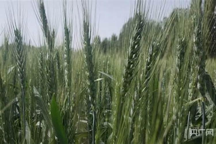 大量元素水溶肥料执行标准