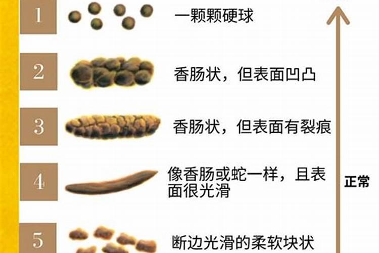 什么粪含钾量最高？