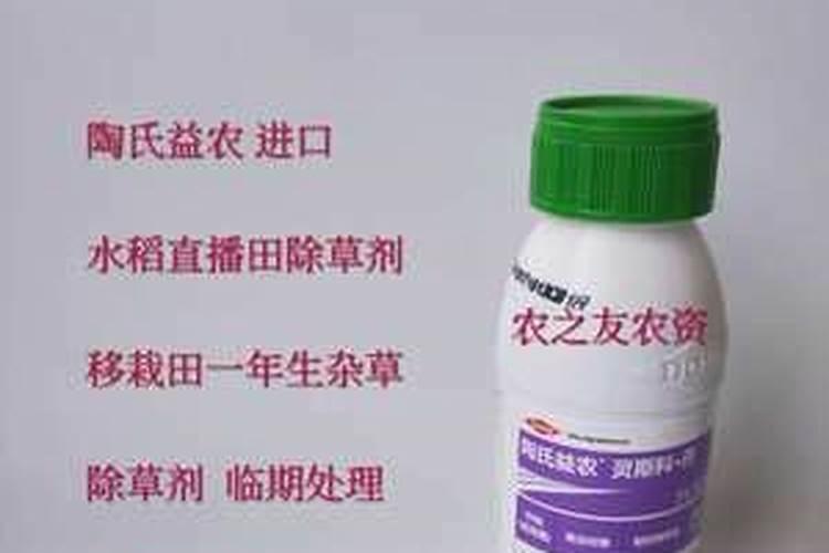 缺氮的植物有什么症状