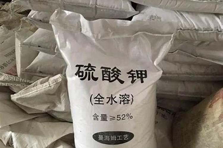 草莓无土栽培方法