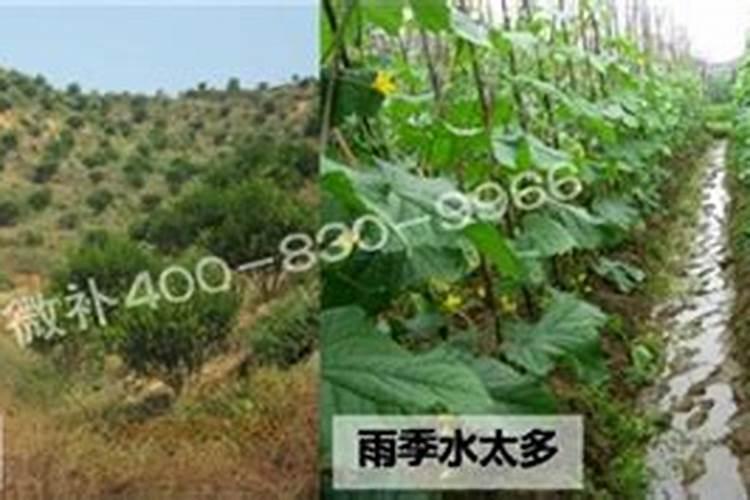 中药材水溶肥什么牌子的好？水溶肥怎么用？水溶肥市场价多少钱一包？