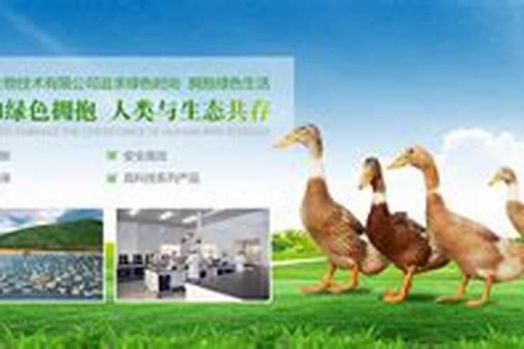 进口绿贝水溶肥多少钱一包。