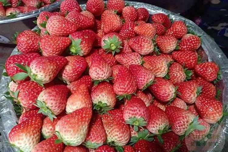 芋头用什么肥料最好