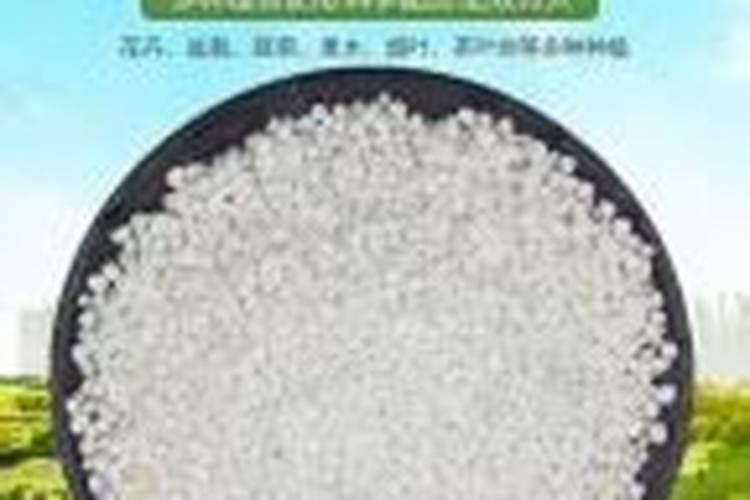 白玉樱桃多少一斤