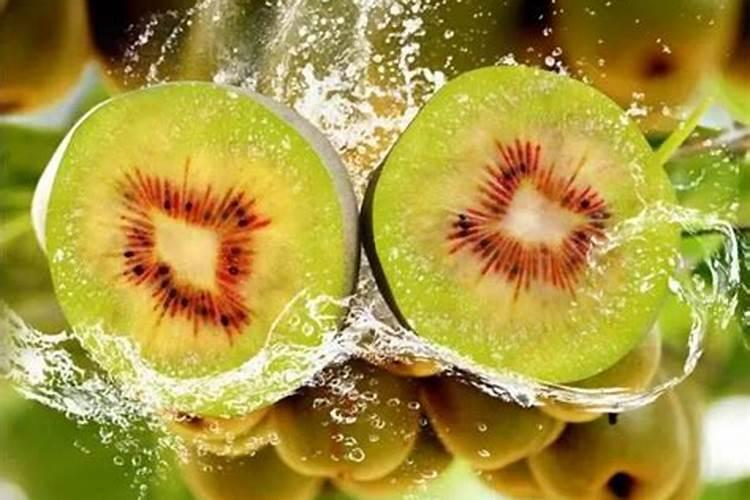 钾肥过量叶子起皱