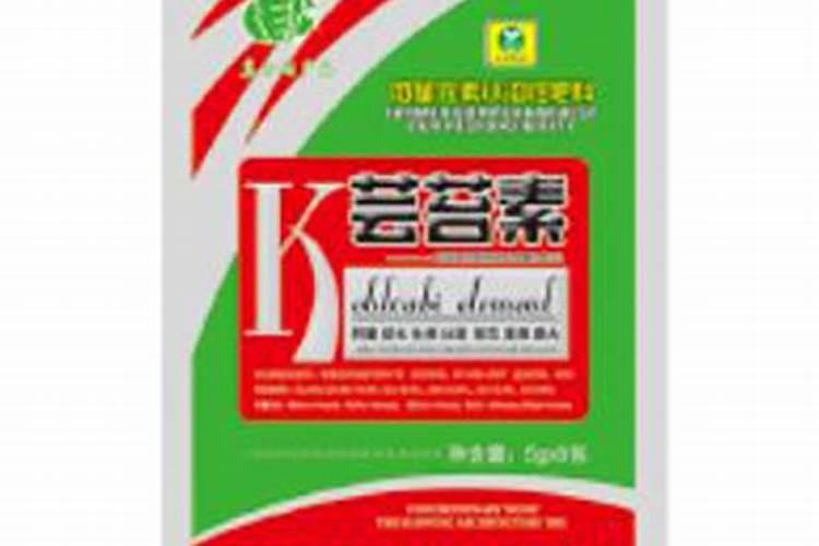 怎么种植西红柿