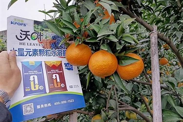 水溶肥十大名牌,摩力水溶肥效果极好