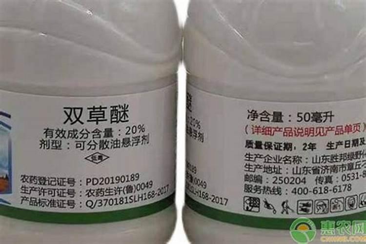 发财树可以施钙镁肥吗？