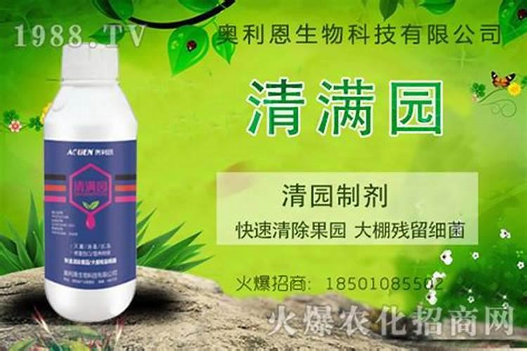柑橘采果以后,怎样喷药清园？
