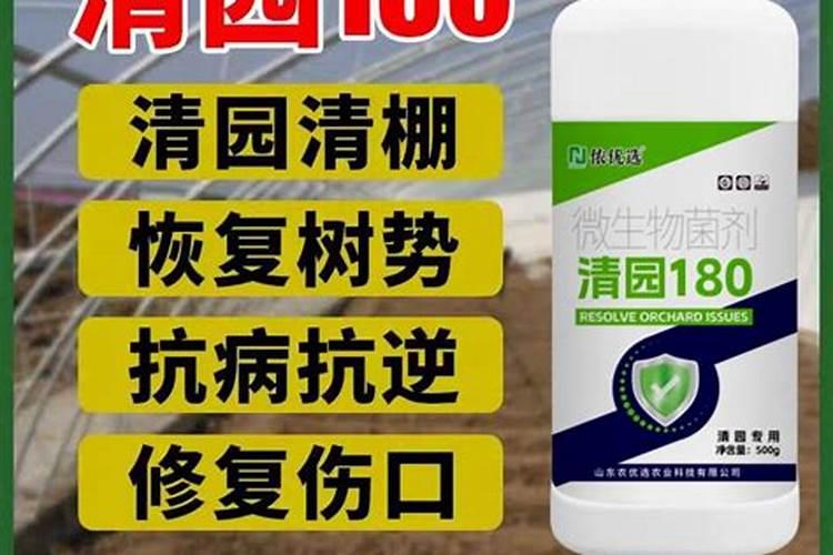 葡萄清园一般什么时候 葡萄清园可以打波尔多液吗