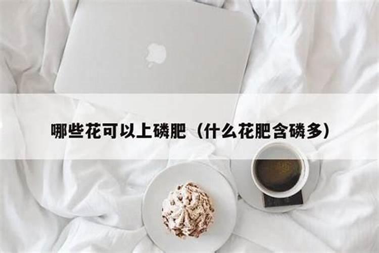 含磷最多的花肥,是啥肥料