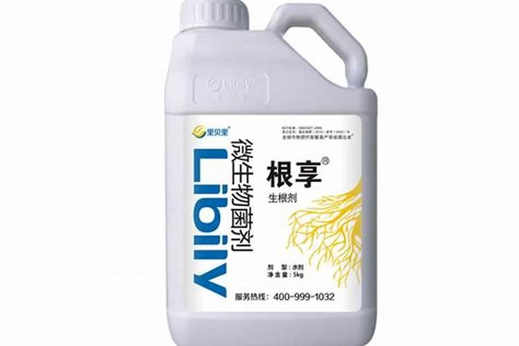 向日葵的最佳施肥时间和方法